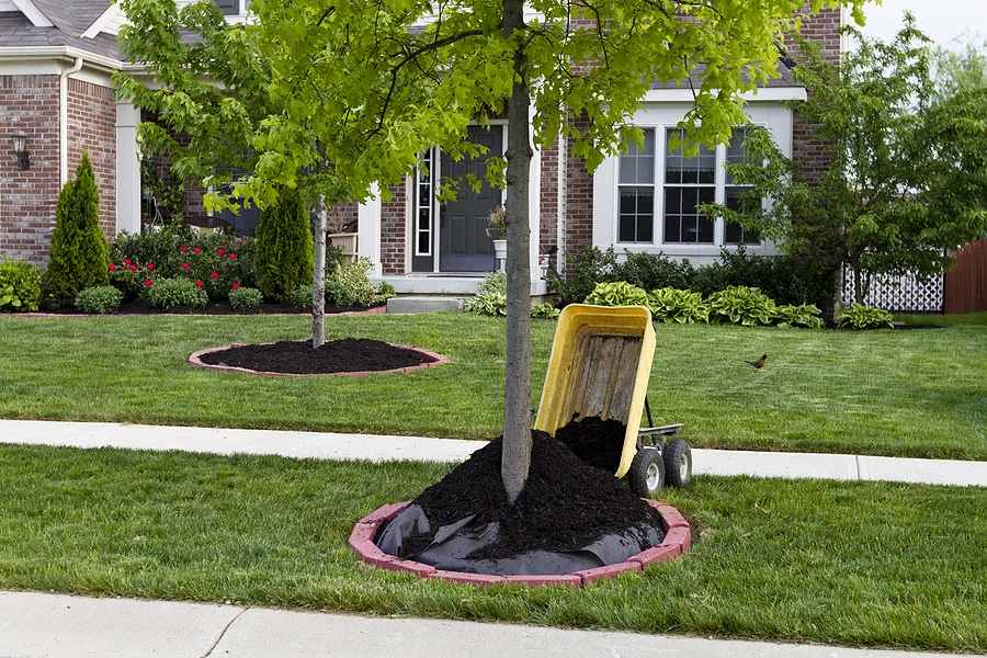 Top 3 Benefits of Mulching Your Flower Beds