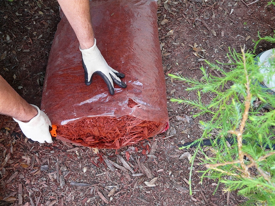 Are You Mulching Your Yard the Wrong Way?