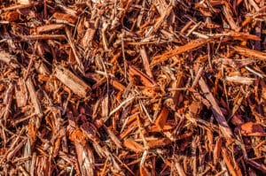 When Is the Right Time to Refresh Your Mulch?