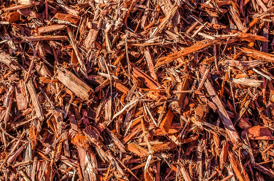 When Is the Right Time to Refresh Your Mulch?