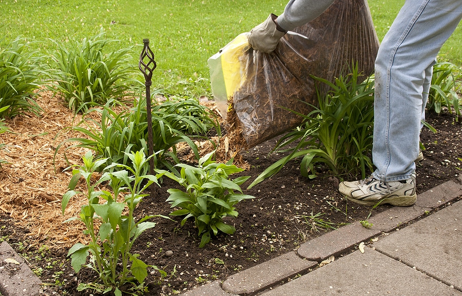 Why New Mulch is the Perfect Mid-Summer Refresh