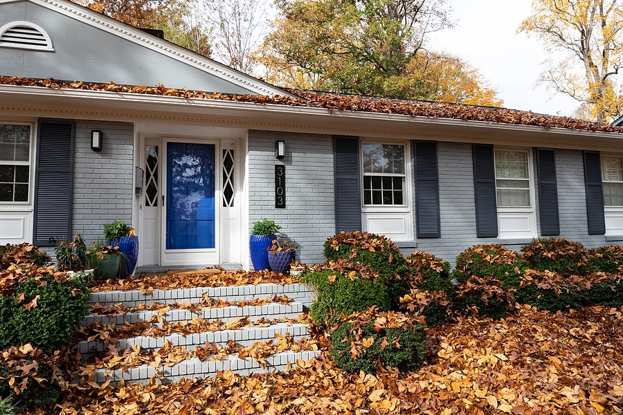 4 To-Dos to Add to Your Fall Lawn Cleanup